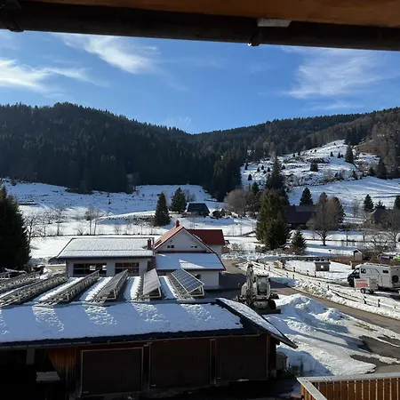 Апартаменты Tasa Менценшванд