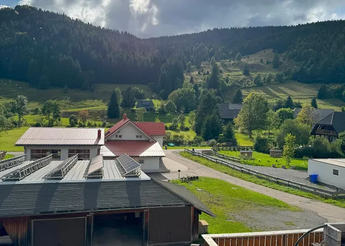 Tasa Менценшванд