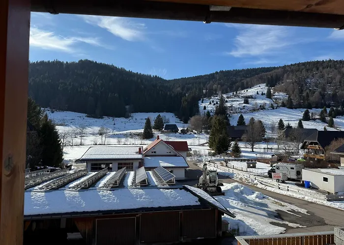 Апартаменты Tasa Менценшванд